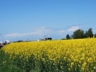 Bungalow Alt Bukow Umgebung 31