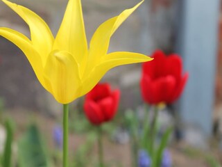 Bungalow Alt Bukow  39