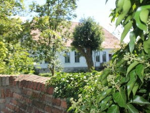 Apartment Ferienwohnung für VIER in Steffenshagen mit Garten - Steffenshagen - image1