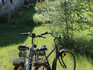 Apartment Steffenshagen Außenaufnahme 6