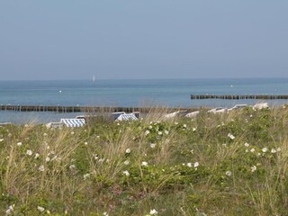 Apartamento Steffenshagen Entorno 35