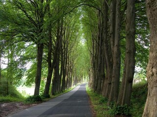 Appartement Steffenshagen Environnement 32