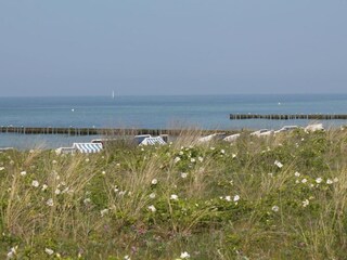 Appartement Steffenshagen Omgeving 32