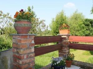 Großes Ferienhaus in Steffenshagen mit Kaminen, Terrasse und Garten - Steffenshagen - image1