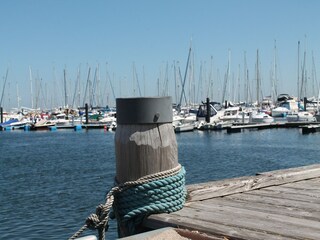 Holiday house Steffenshagen Environment 38