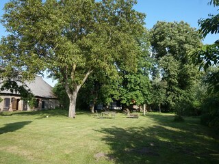 Ferienhaus Steffenshagen Außenaufnahme 4