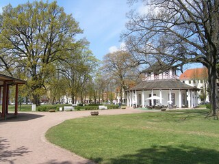 Apartment Steffenshagen Umgebung 31