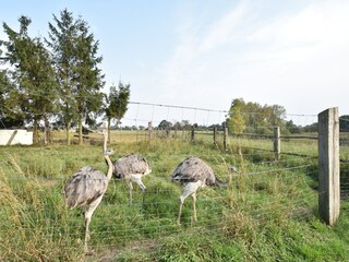 Vakantiehuis Rühn Omgeving 19