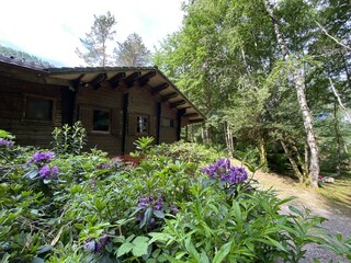 Chalet La Bresse Buitenaudio-opname 18