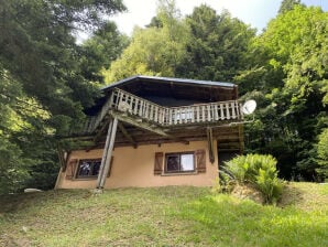 LE TRAPPEUR  Chalet en bois vue montagne - Vosges - image1