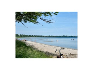 Strand an der Wohlenberger Wiek