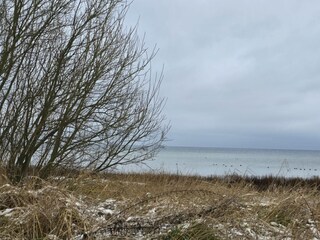 Wohlenberger Wiek im Winter 2025