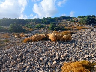 Vrsi, unberührte Natur