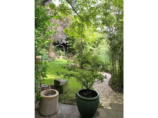 Blick in den Garten