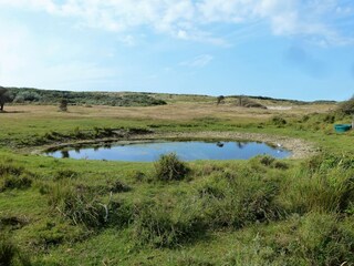 Appartement Oostkapelle Omgeving 17