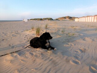 Appartement Oostkapelle Omgeving 22