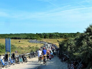 Appartement Oostkapelle Omgeving 18