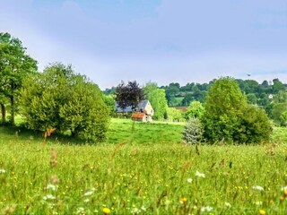 Holiday house Montaigu-les-Bois Environment 31