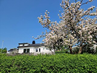 Vakantiehuis Skövde Buitenaudio-opname 4