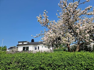 Vakantiehuis Skövde Buitenaudio-opname 2