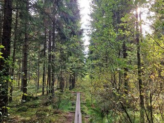 Vakantiehuis Skövde  17