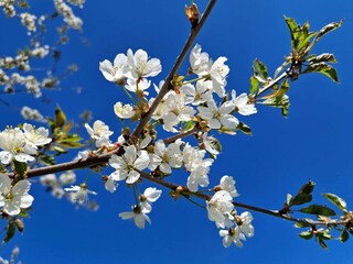 Ferienhaus Skövde Außenaufnahme 4