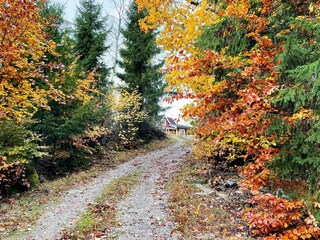 Holiday house Kyrkhult Outdoor Recording 4