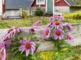 Vakantiehuis Kyrkhult Buitenaudio-opname 6