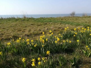 Casa de vacaciones Gedser  27