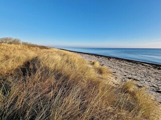 Maison de vacances Gedser  35