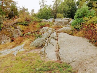 Vakantiehuis Olofström  32