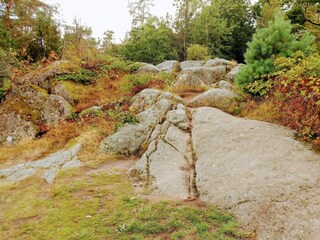 Holiday house Olofström  30