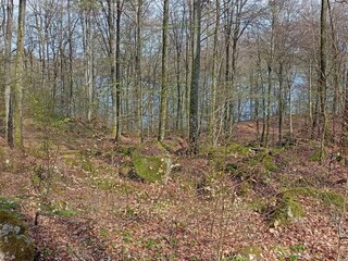 Vakantiehuis Olofström  20