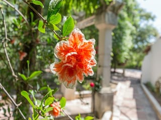 Villa Priego de Córdoba  39