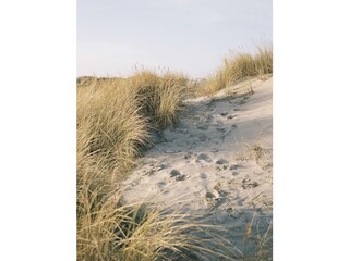 Dünen von St. Peter Ording