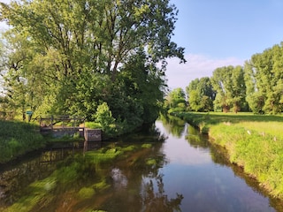 Ferienwohnung Grefrath Umgebung 12