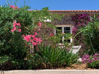 Appartamento per vacanze Les Issambres Registrazione all'aperto 4