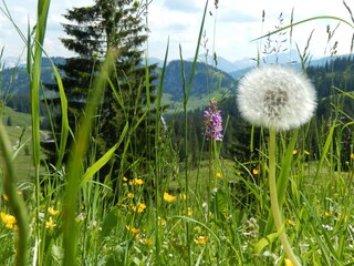 auf dem Weg zum Riedbergerhorn