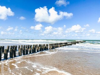 Vakantieappartement Domburg Omgeving 19