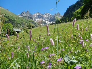 Mädelegabel, Trettach und Hochfrottspitze