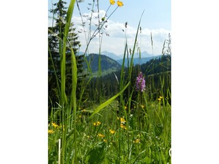 auf dem Weg zum Riedbergerhorn