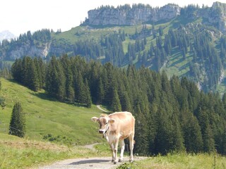 Blick Richtung Besler