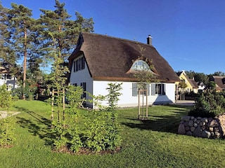 Hauptansicht