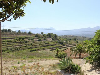 Beautiful view from the finca