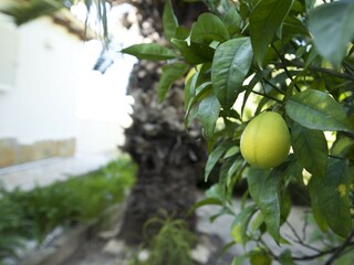 Villa Benissa Registrazione all'aperto 10