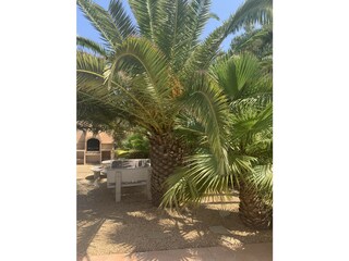 Villa Benitachell Buitenaudio-opname 22