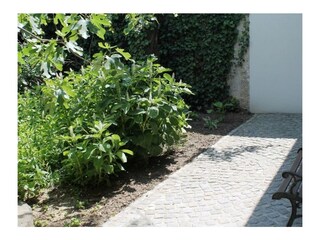 Sitzplatz Garten