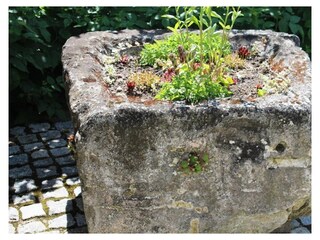Alter Stein mit Blumen