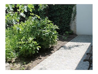 Sitzplatz Garten