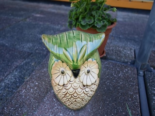 Casa per le vacanze Kägsdorf  38